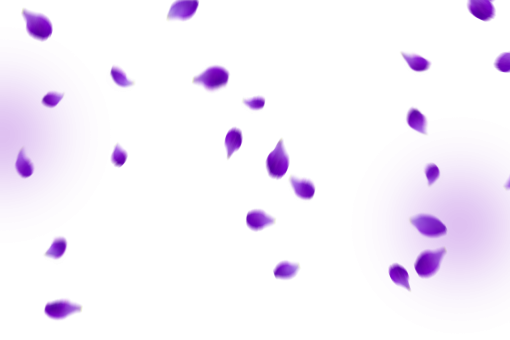 drop  Flower Petals Background Overlay vector backgrounds PNG illustration purple