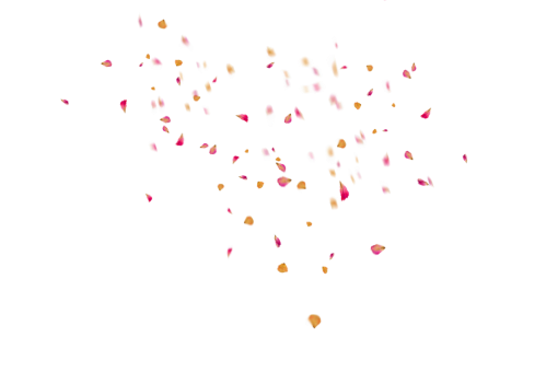 vector  Flower Petals Background PNG abstract backgrounds multi colored Overlay illustration