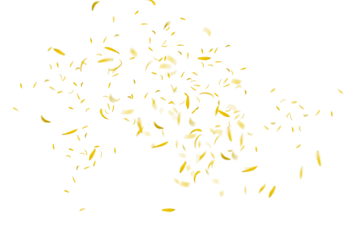 vector  Flower Petals Background PNG backgrounds illustration vector design Overlay