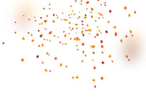 vector  Flower Petals Background PNG Overlay vector backgrounds illustration abstract