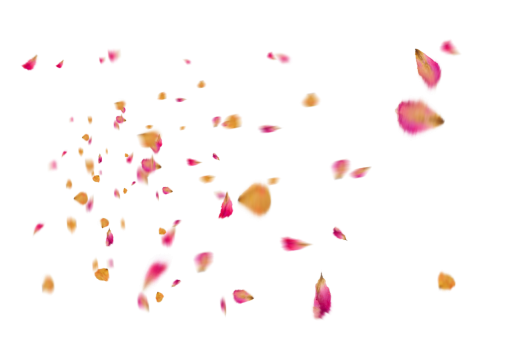vector  Flower Petals Background vector backgrounds PNG multi colored illustration Overlay