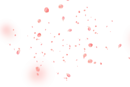 vector  Flower Petals Background vector Overlay backdrop illustration PNG backgrounds