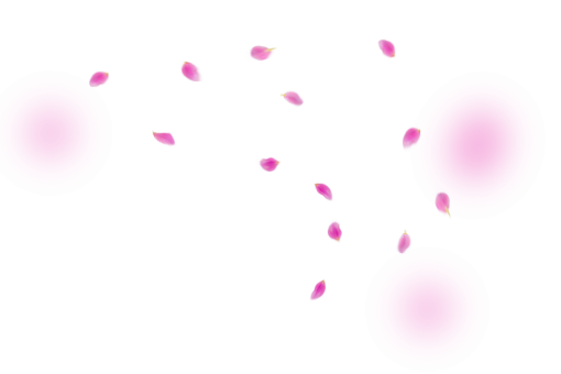  illustration design vector PNG backgrounds Overlay Flower Petals Background