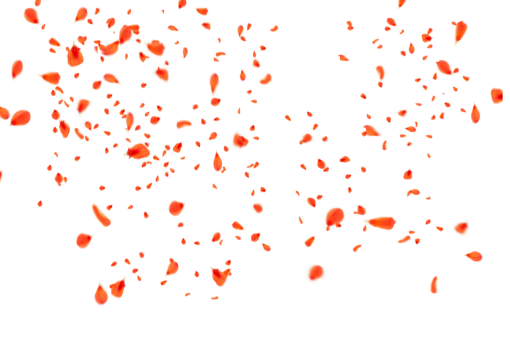  illustration Overlay PNG backgrounds Flower Petals Background vector abstract