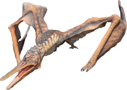 dinosaur  Pteranodon Overlay PNG Dinosaur  