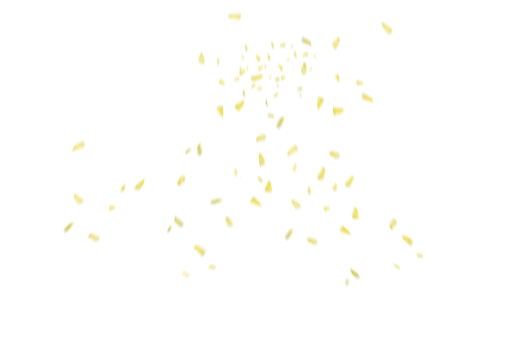 vector  illustration PNG celebration Overlay Flower Petals Background yellow backgrounds