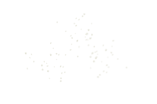 fundo de petalas de flores fundo de ilustração de fundo de pétalas de flores isoladas png Overlay