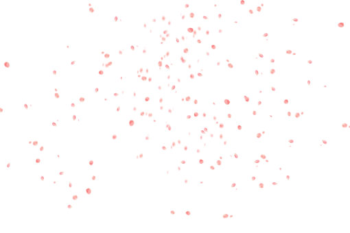 vector  Overlay Flower Petals Background design backgrounds vector PNG illustration