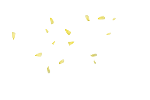 vector  Overlay nature Flower Petals Background yellow backgrounds pattern PNG