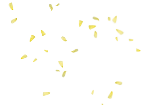 vector  Overlay pattern illustration Flower Petals Background PNG backgrounds vector