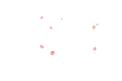 vector  Overlay PNG Flower Petals Background vector illustration nature backgrounds