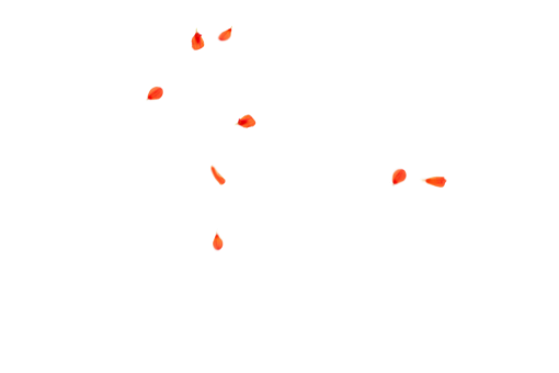 flying-saucer  PNG animal fish backgrounds nature Overlay Flower Petals Background