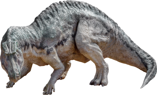 dinosaur  PNG Dinosaur Overlay animal mammal nature