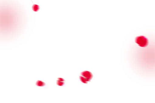 collect  PNG Overlay Flower Petals Background vector backgrounds design illustration