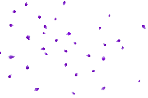  PNG pattern illustration vector Overlay Flower Petals Background backgrounds