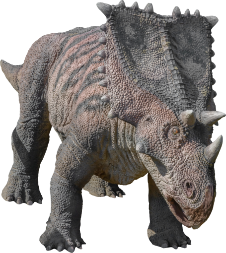 dinosaur Dinosaur Triceratops PNG  