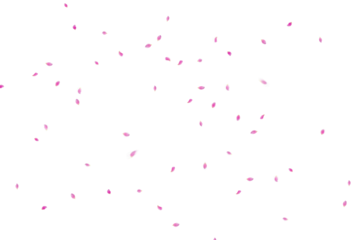  PNG vector illustration design backgrounds Overlay Flower Petals Background