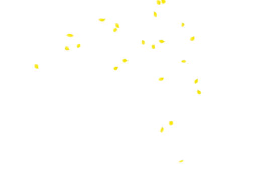 vetor vetor Fundo de pétalas de flores Fundo de design de sobreposição Ilustração PNG