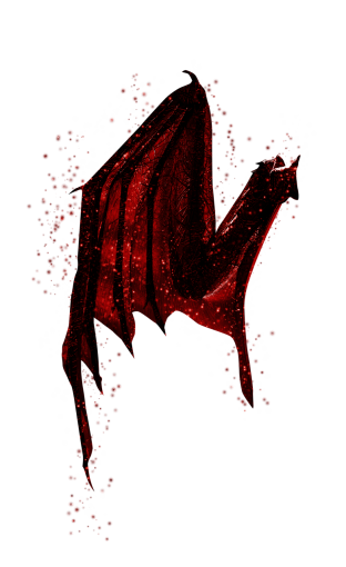 10-years-old  Wings Clipart Overlay PNG