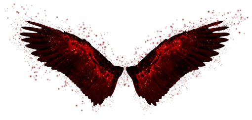 18-20-years  Wings Clipart Overlay PNG