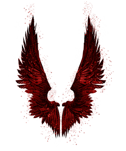 🥇 Image of Wings Clipart Overlay PNG - 【FREE PHOTO】 100035853