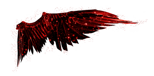 24-hrs  Wings Clipart Overlay PNG