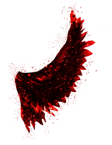 25-29-years  Wings Clipart Overlay PNG