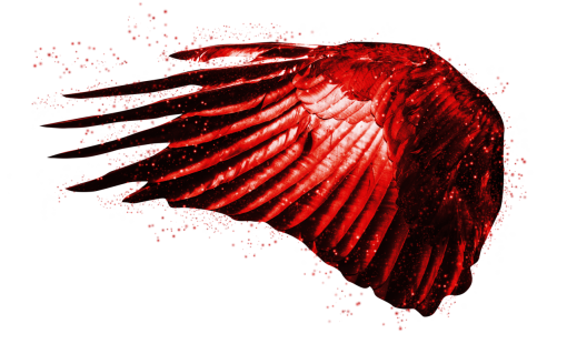 fantastico Asas PNG,Sobreposição PNG