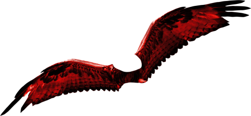 fantastic  Wings Clipart Overlay PNG
