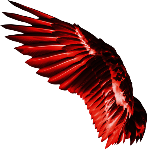 fantastic  Wings Clipart Overlay PNG