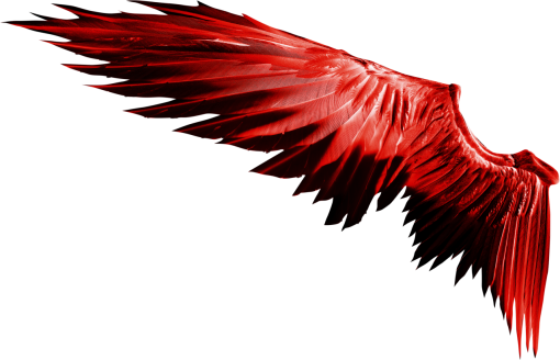 fantastic  Wings Clipart Overlay PNG