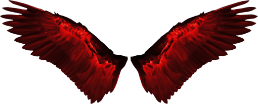 18-20-years  Wings Clipart Overlay PNG