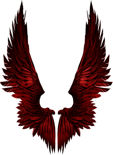 fantastic  Wings Clipart Overlay PNG