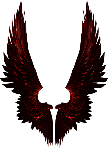 fantastic  Wings Clipart Overlay PNG