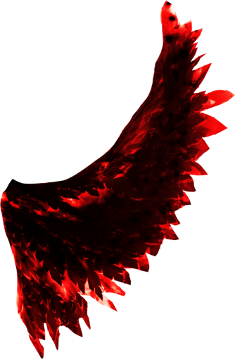 25-29-years  Wings Clipart Overlay PNG