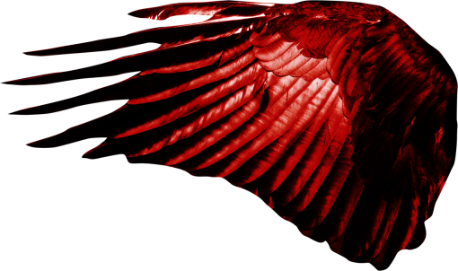 fantastic  Wings Clipart Overlay PNG