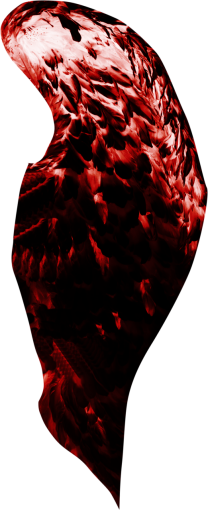 fantastic  Wings Clipart Overlay PNG