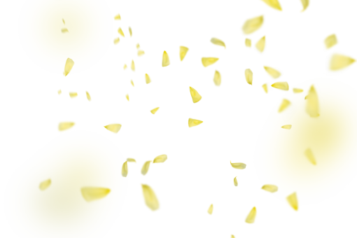 vector  yellow Flower Petals Background PNG illustration vector Overlay backgrounds