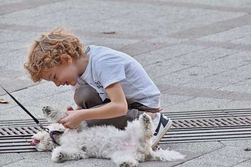 boy blonde child hair playful pet dog street pavement puppy 