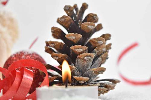 coniferous christmas candle candlelight conifer celebration decoration blur bright still brown