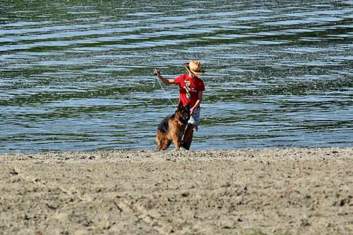 german-language dog collar boy fun beach shepherd recreation german sea water 