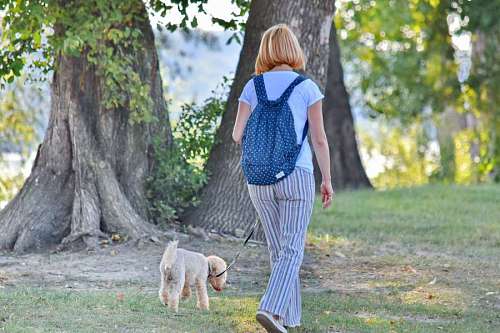 disfrute aire libre mujer naturaleza paisaje perro hierba verano árbol parque anciano anteojos estilo de vida sombrero hecho a mano