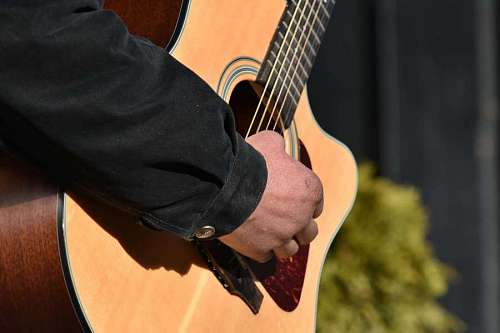 guitarist entertainer guitar acoustic musician musical guitarist instrument
