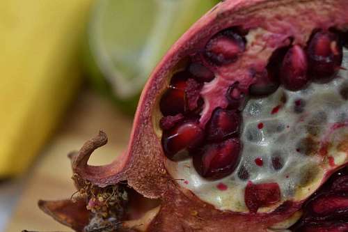kernels fruit close pomegranate kernel ripe sweet produce tropical dessert 