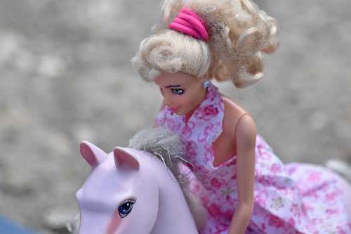 fun rider riding doll horse plastic outdoors toy