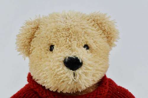 stuffed head bear teddy plush brown toy stuffed gift kb