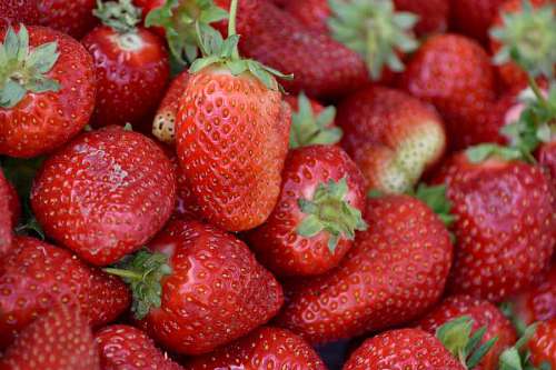 health strawberries strawberry nutrition fruit delicious produce berry leaf