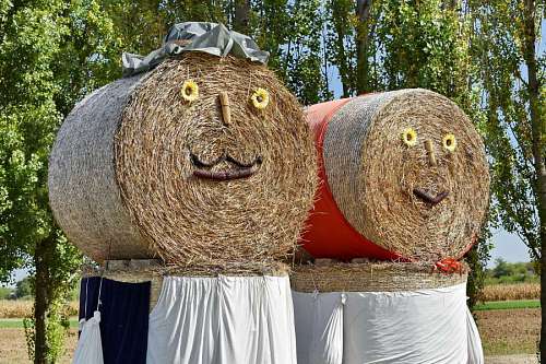 nature hay rural straw armor countryside grass outdoors tree decoration morte agricoles creativite terres paille