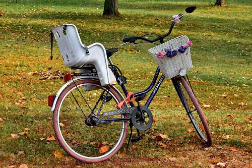 nostalgia romance bicycle decorative forest wicker grass outdoors basket nature summer