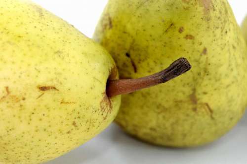 pear pears organic close produce nutrition fruit nature health